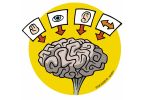 How the brain works. Colour drawing for Gazzetta dei Piccoli (Toddlers' Gazette) column of the Gazzetta di Parma (Gazette of Parma)
