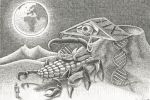 Il pianto del creatore disegno a china di Oscar Salerni