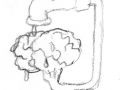 cervello fresco