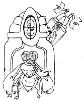 la mosca oscar salerni