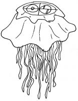 marchio oscar salerni medusa