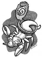 paguro