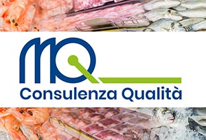 MQ Consulting and Quality brand
