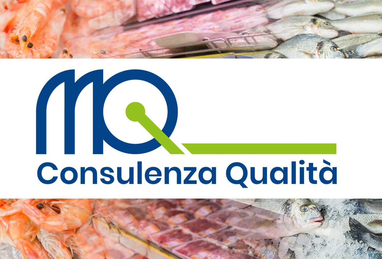 MQ Consulting and Quality brand