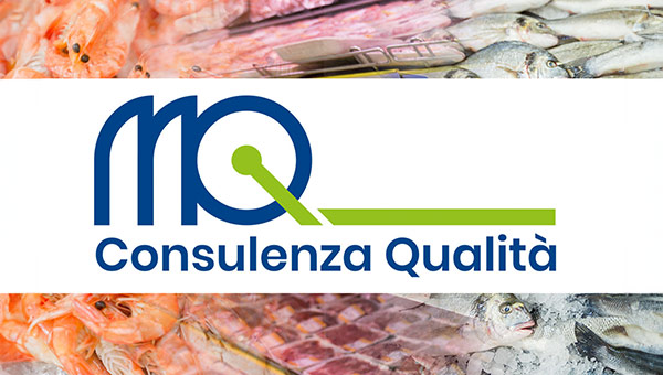 Marchio MQ Consulenza di Elena Montanari